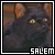 Salem Saberhagen