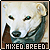  Dogs: Mixed Breed: 