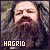  Harry Potter: Hagrid, Rubeus: 