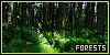  Forests: 