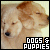  Dogs and Puppies: 
