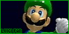  Super Mario Brothers - Luigi: 