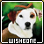  Wishbone: 