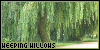  Weeping Willows: 