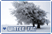  Seasons: Winter: 