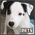  Pets: 
